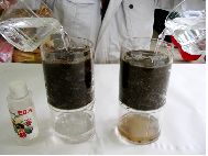土壌団粒化試験4