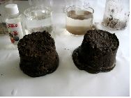 土壌団粒化試験7